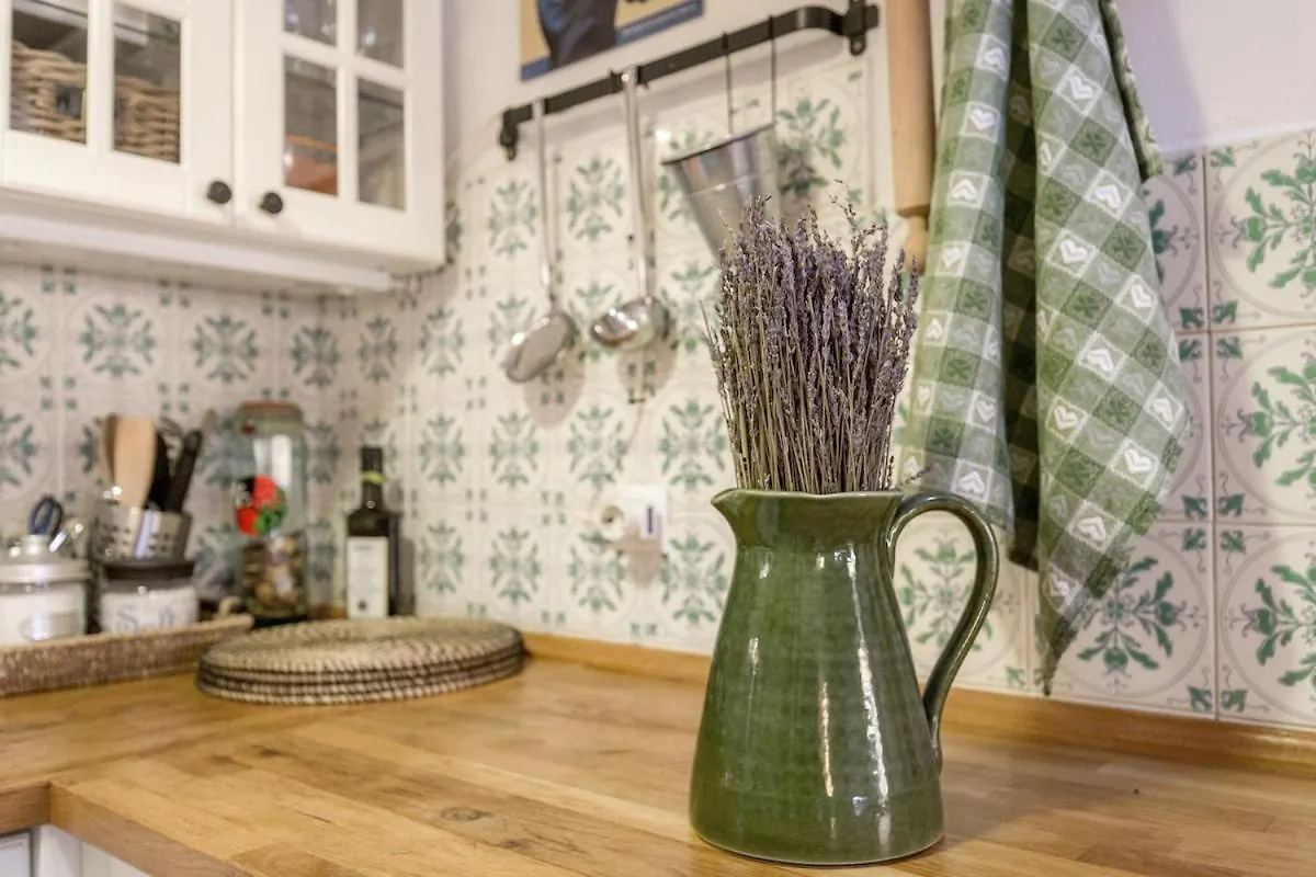 A Nest In The Heart Of Firenze Apartment  Florence